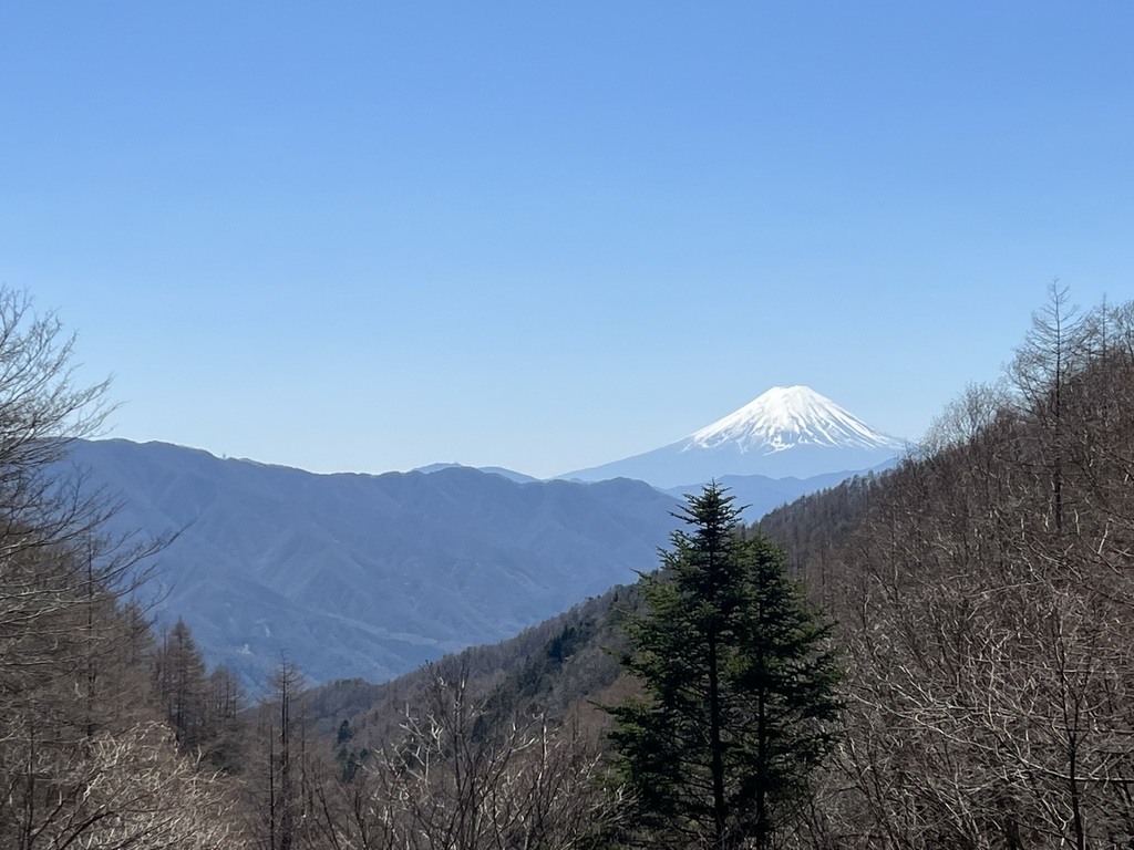 IMG_4384.jpeg